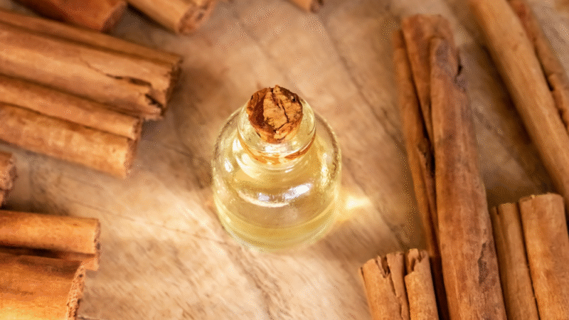 Ceylon Cinnamon Oil
