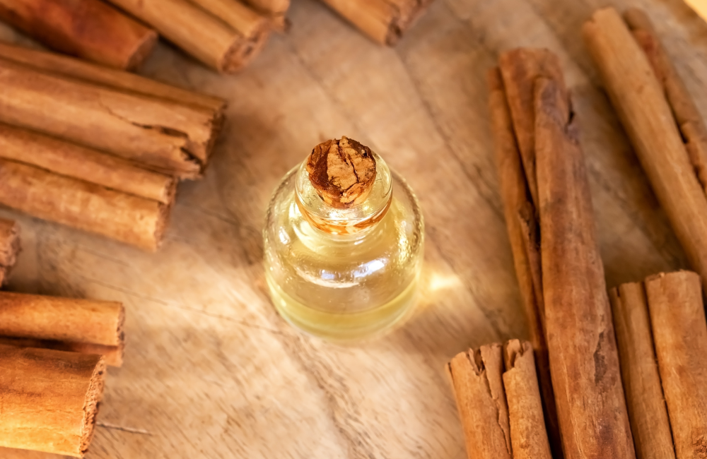Ceylon Cinnamon Oil