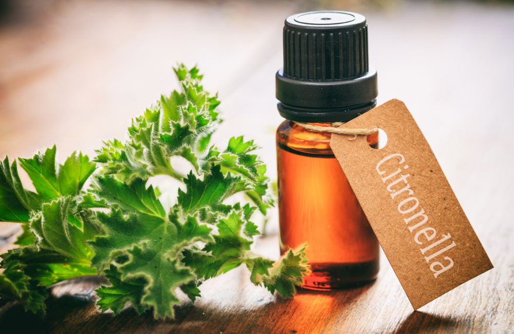 Ceylon Citronella Oil