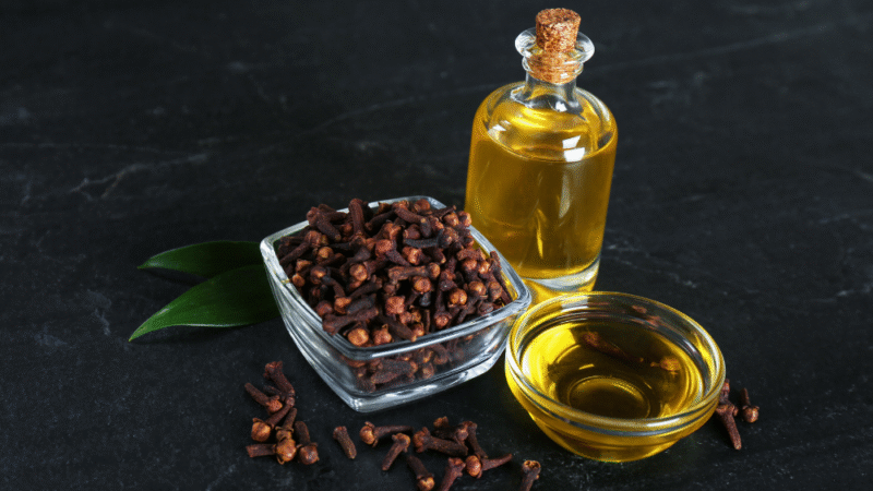 Clove Essential Oil