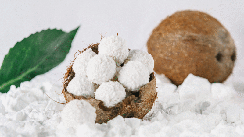 Coconut Milk Powder