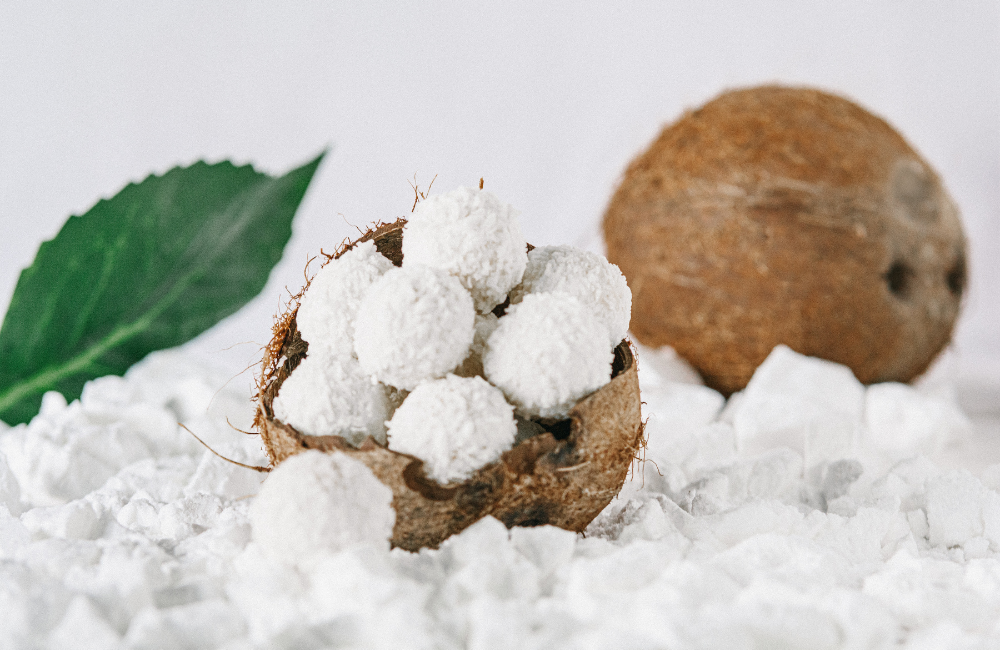 Coconut Milk Powder