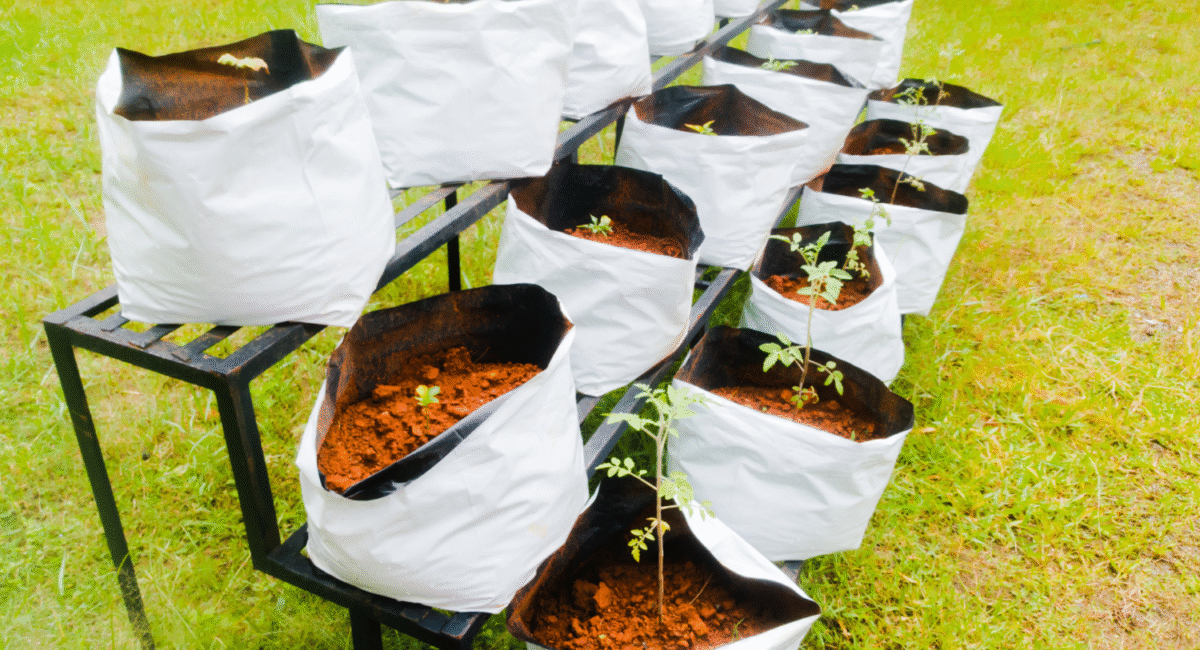 Grow Bags
